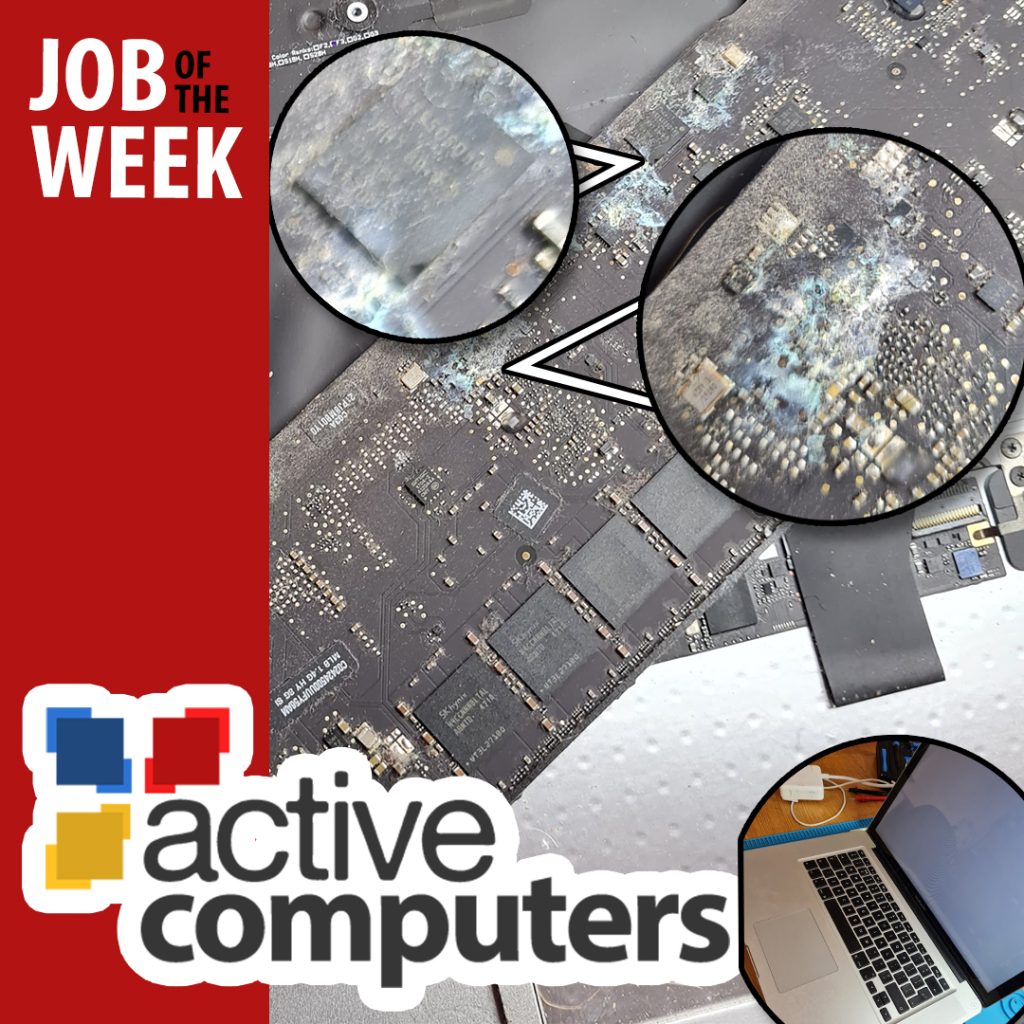 230313-WO3605-joboftheweek-min