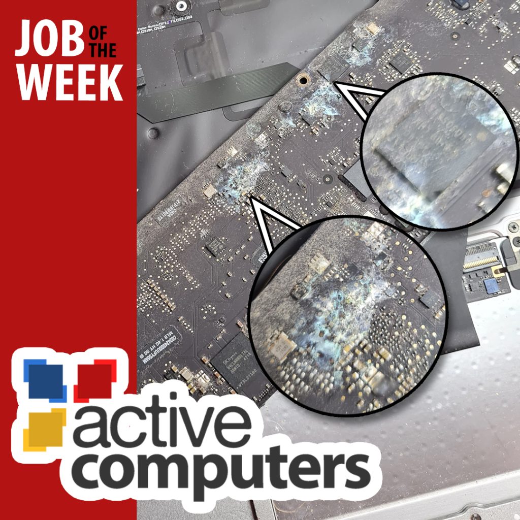 230313-WO3605-joboftheweek-min-min